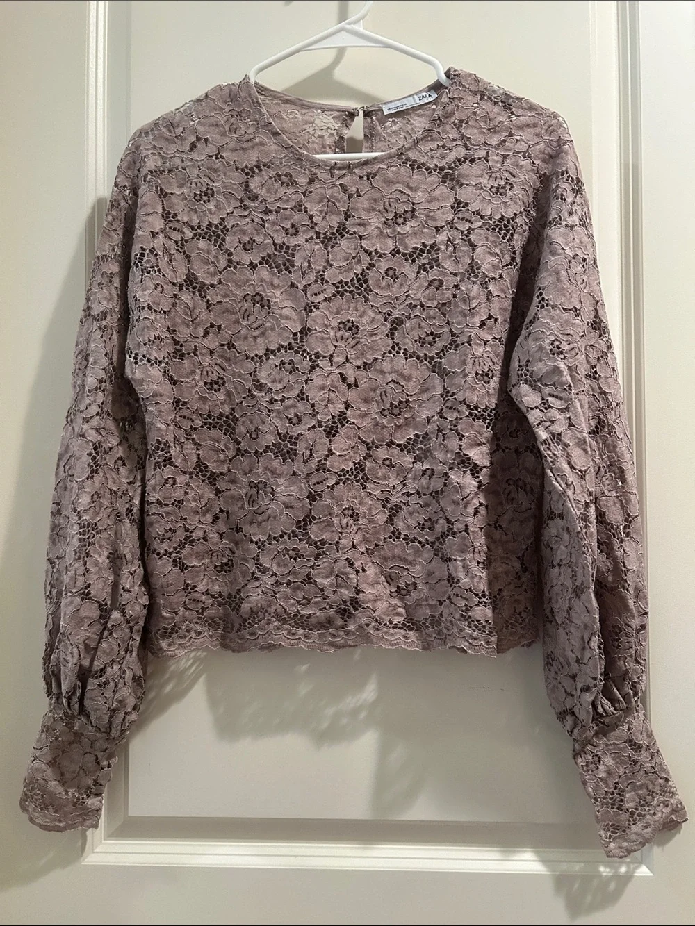 Zara GORGEOUS SEXY Lace peekaboo LongSleeve Blouse scallop hem size M beige
